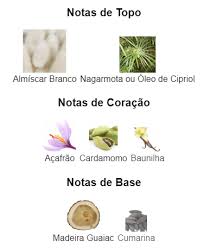 Pirâmide Olfativa (Nosso Produto)